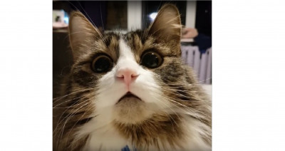 murlock.jpg (234.15 КБ) 11986 просмотров Можно