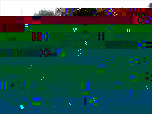 th-6AA811E0.jpeg
